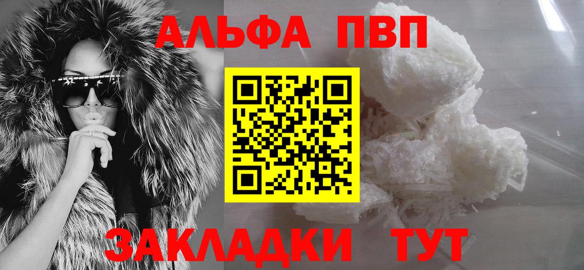 A PVP СК Великий Новгород