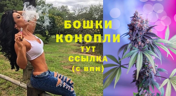 гидра Осташков