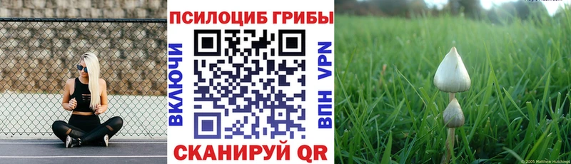 где купить наркоту  Великий Новгород  Галлюциногенные грибы Magic Shrooms 