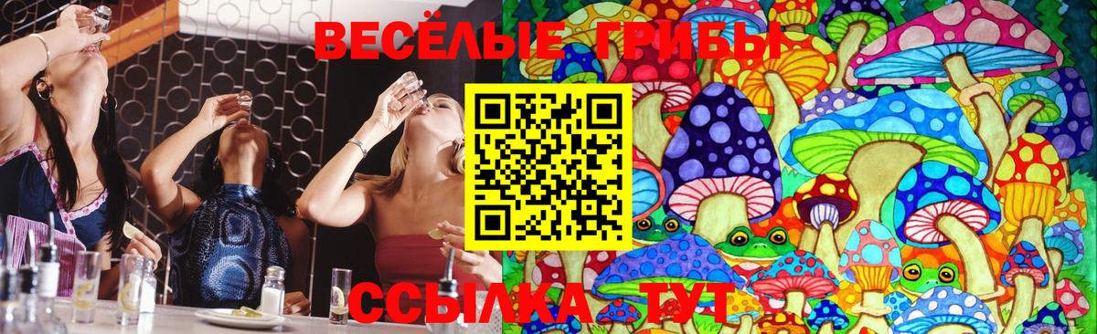 Галлюциногенные грибы Psilocybine cubensis  Вход с VPN  Великий Новгород 
