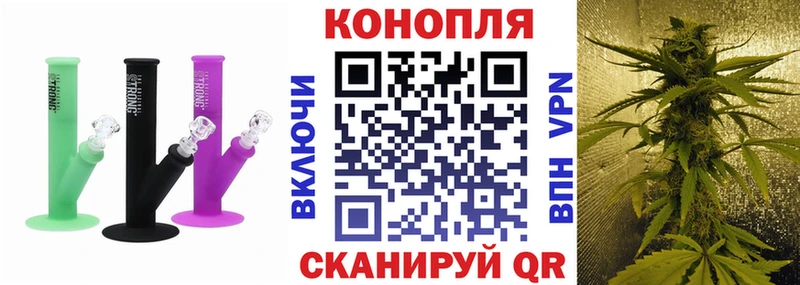 Бошки марихуана White Widow  где купить   Великий Новгород 